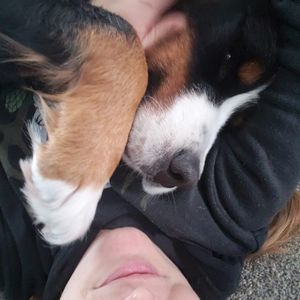 Meet your Posher, Darcey